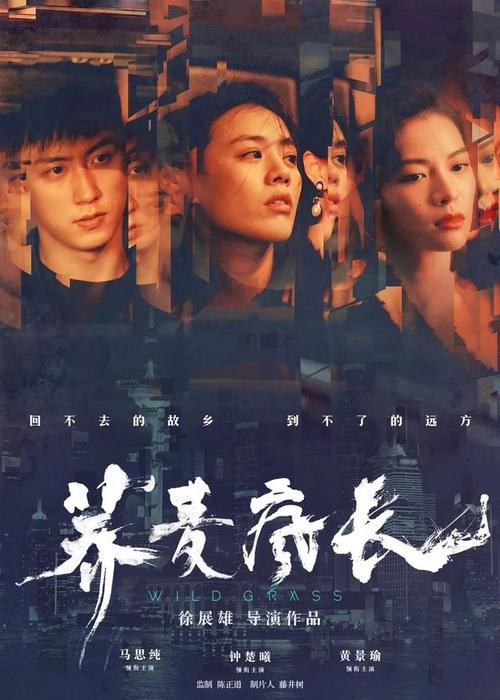 电大中专学历认证报告怎么弄